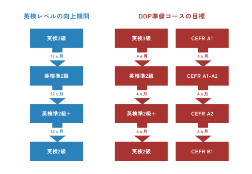 DDP準備コース拡大決定！2025年5月開講